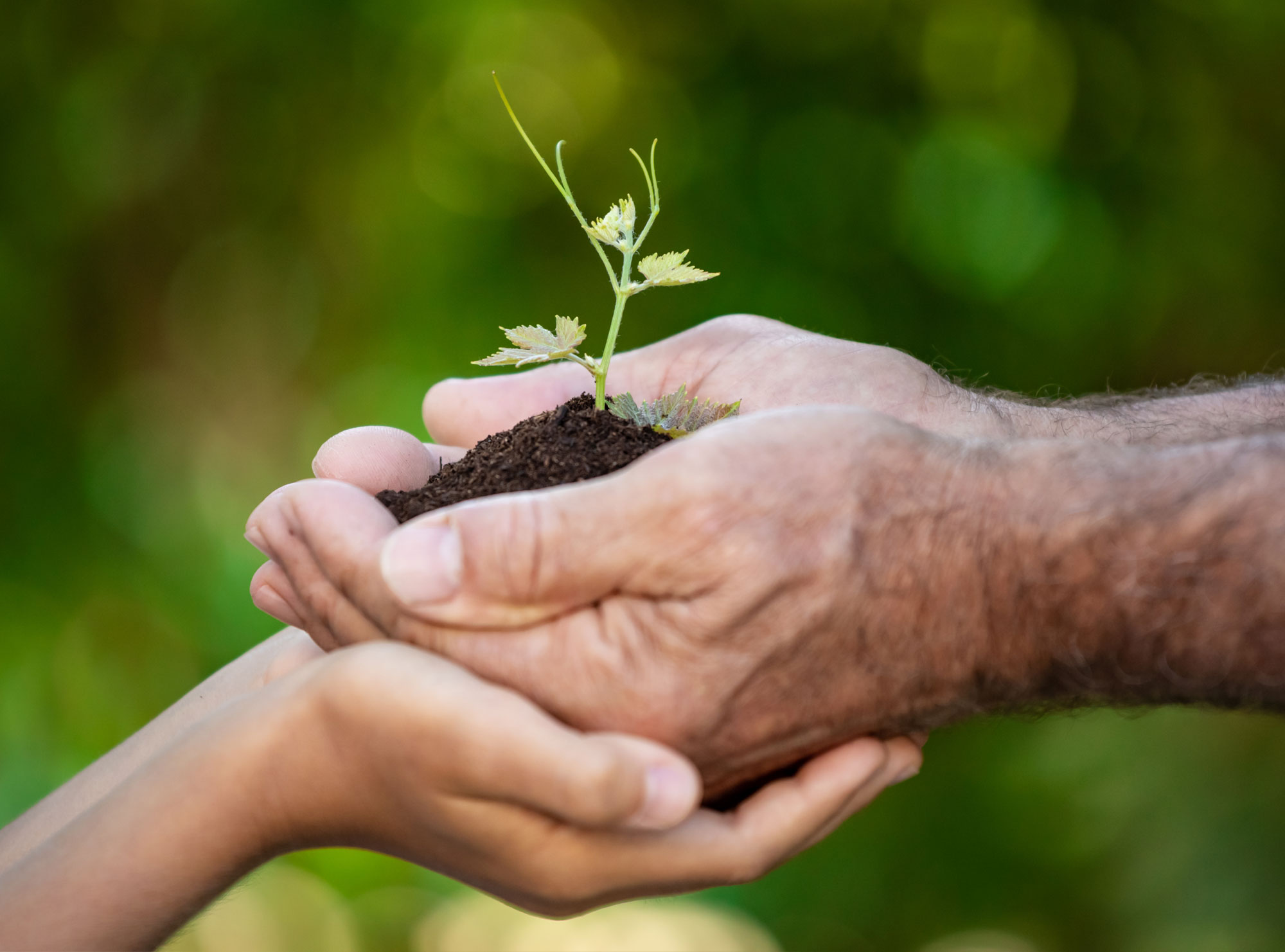 Verantwortung für Mensch und Natur übernehmen
