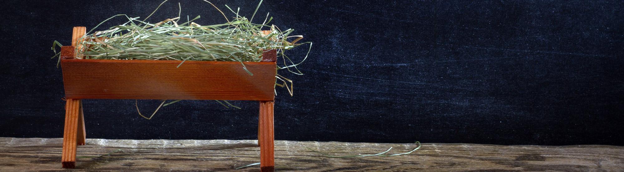 Ihr Kinderlein kommet, aber wohin…? – Zusatztermin