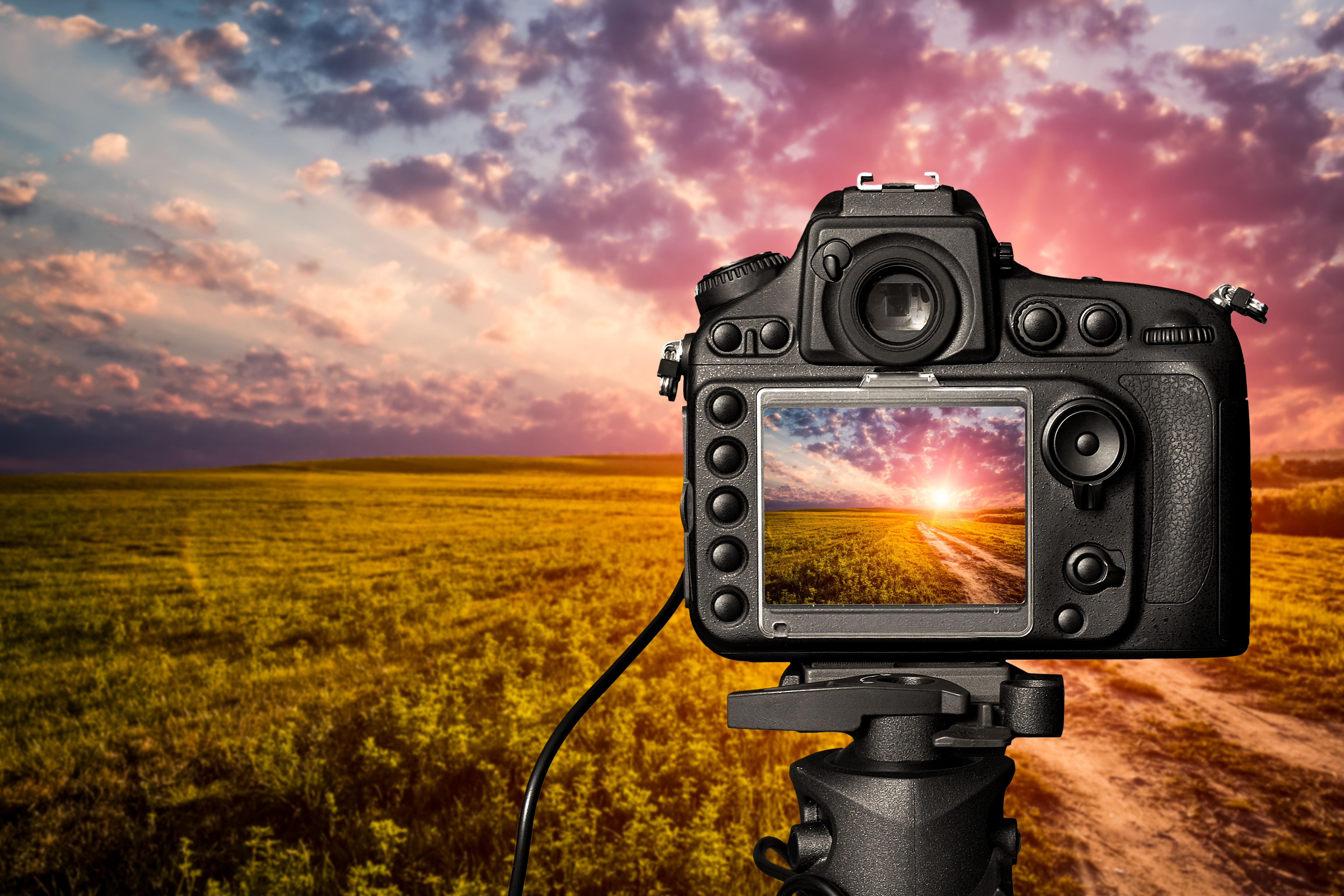 „Die ganze Welt ist schön, um fotografiert zu werden“