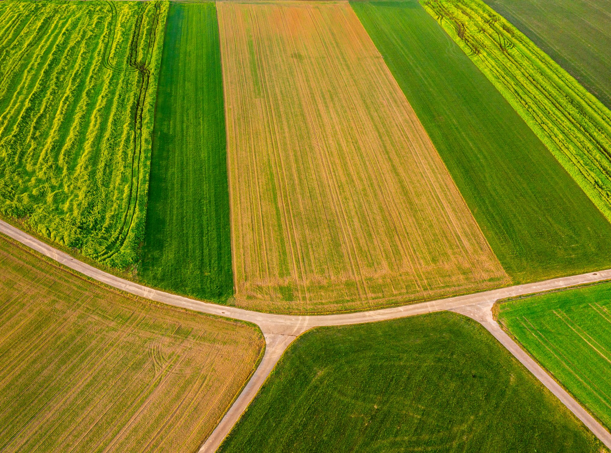 Zukunft der Landwirtschaft – 2. Forum Wirtschaftsethik