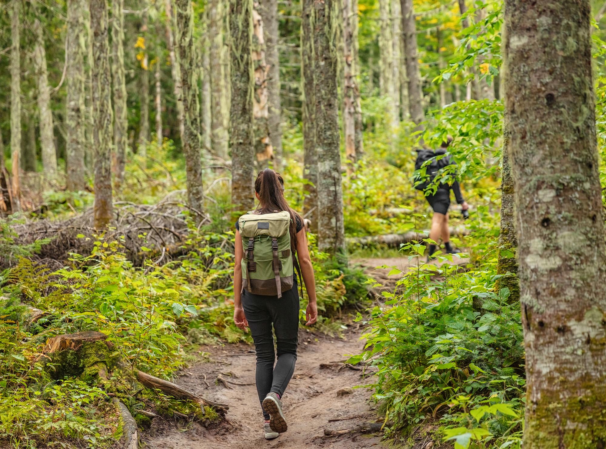 Wandern – ein ständiger Grund zum Staunen
