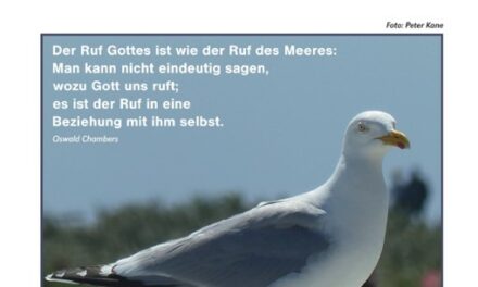 Pfarrnachrichten Nr. 27-29 – 2022