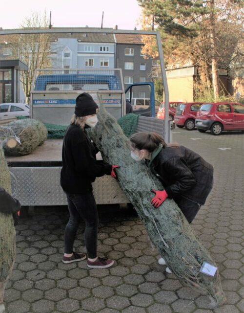 Tannenbaumaktion der Pfarreimessdiener