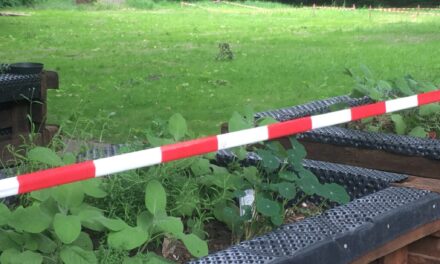 Projekt Gestaltung Aussengelände in Liebfrauen